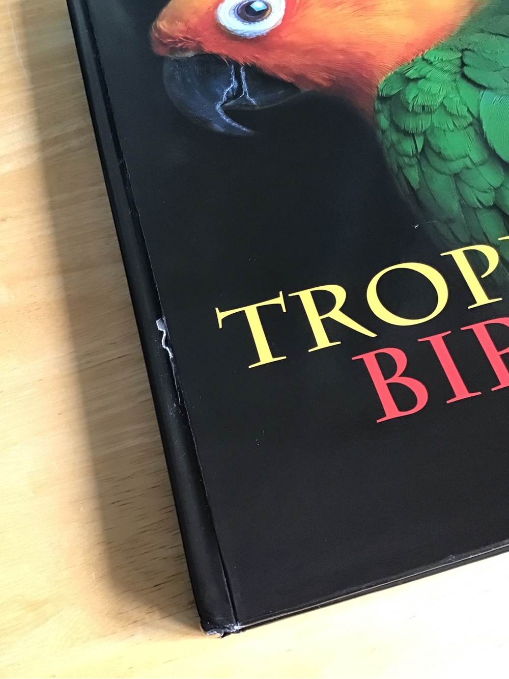 9” X 12” Tropical Birds 224 Page Hardcover Book - Most Pages are Photos of Birds - Picture 5 of 9